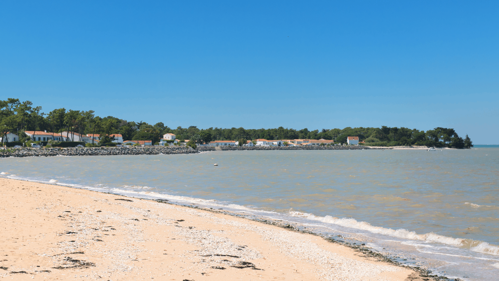 Plage ensoleillée avec maisons et forêt en arrière-plan.