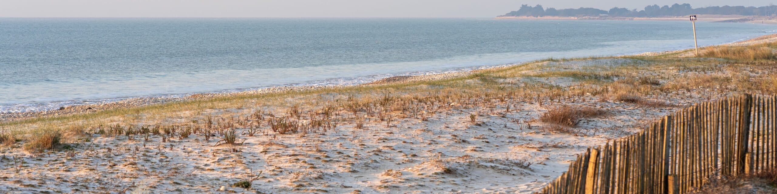 Plage de sable avec océan et dunes en arrière-plan.