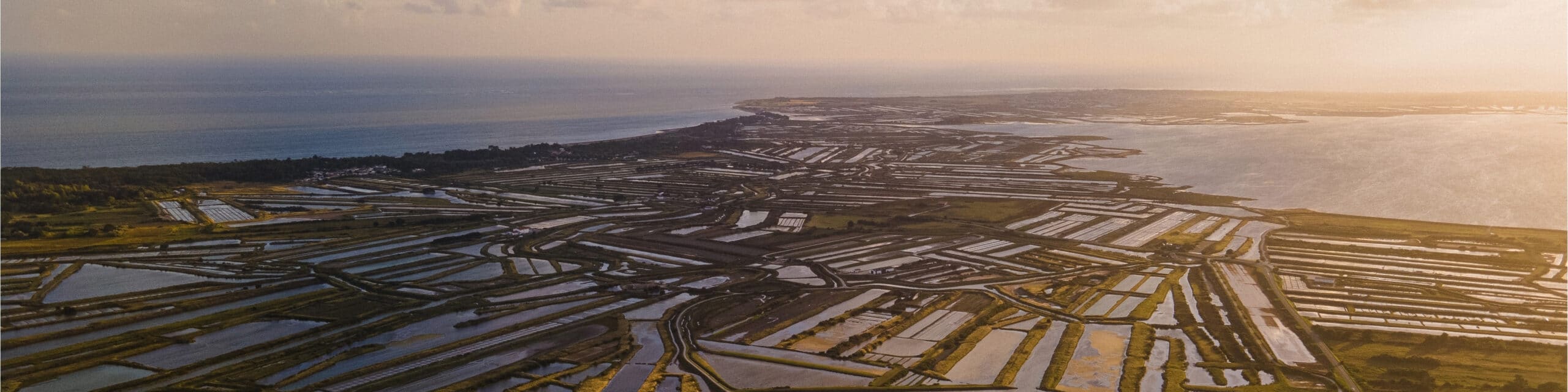 Vue aérienne des marais salants au coucher du soleil.