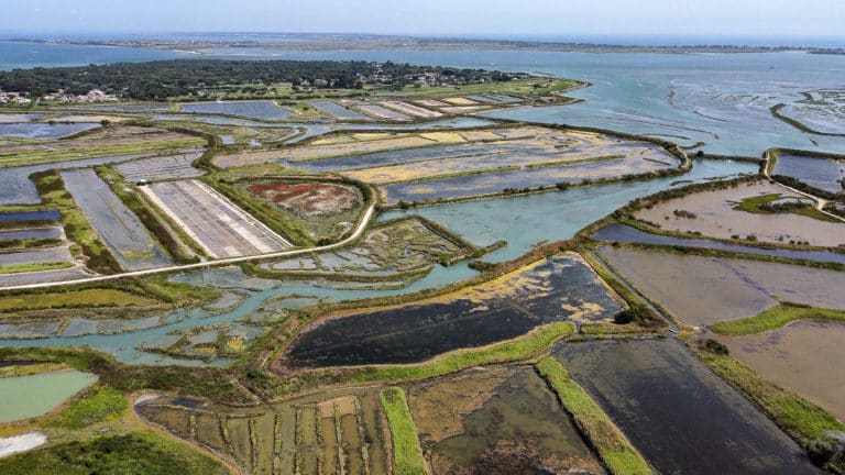 Vue aérienne des marais salants en bord de mer.