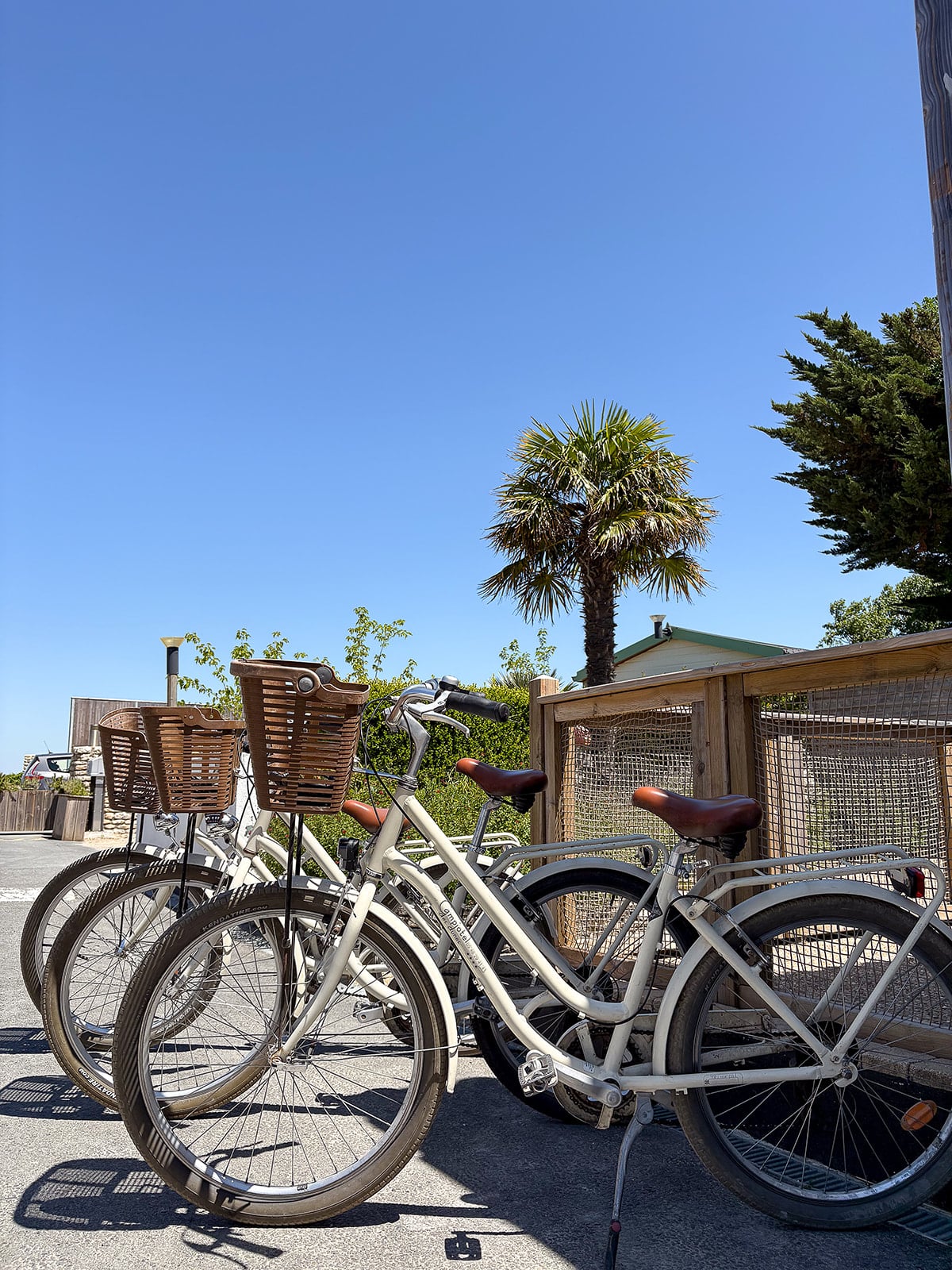 Vélos stationnés sous un ciel bleu