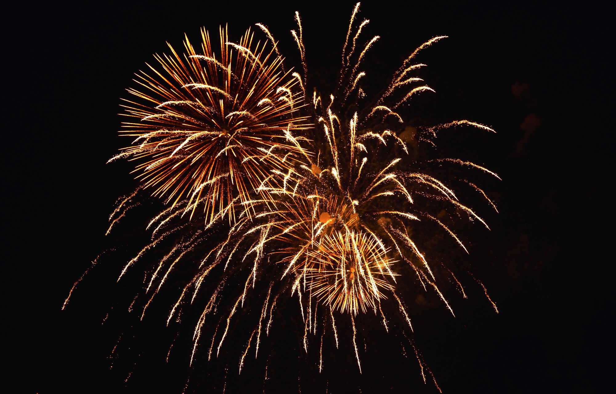 Feu d'artifice éclatant dans le ciel nocturne.